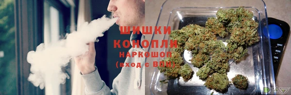 mdpv Богданович