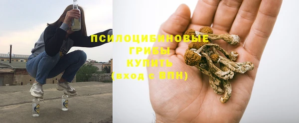 mdpv Богданович