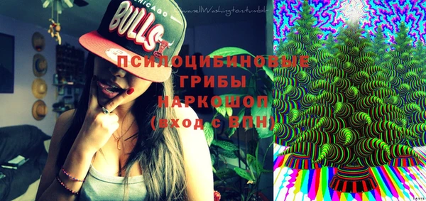 бошки Богородицк