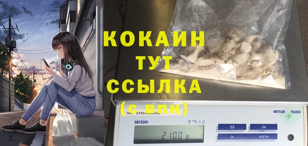 бошки Богородицк