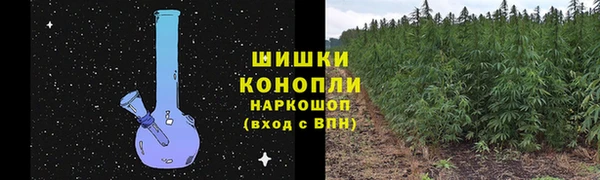 mdpv Богданович