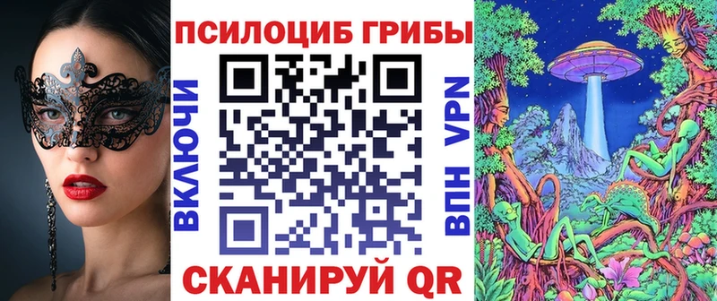 MEGA ТОР  магазин продажи наркотиков  Киреевск  Галлюциногенные грибы прущие грибы 